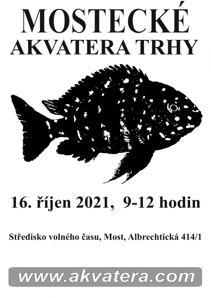 Akvarijní trhy