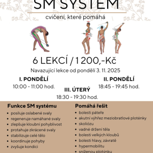 SM Systém - volná místa